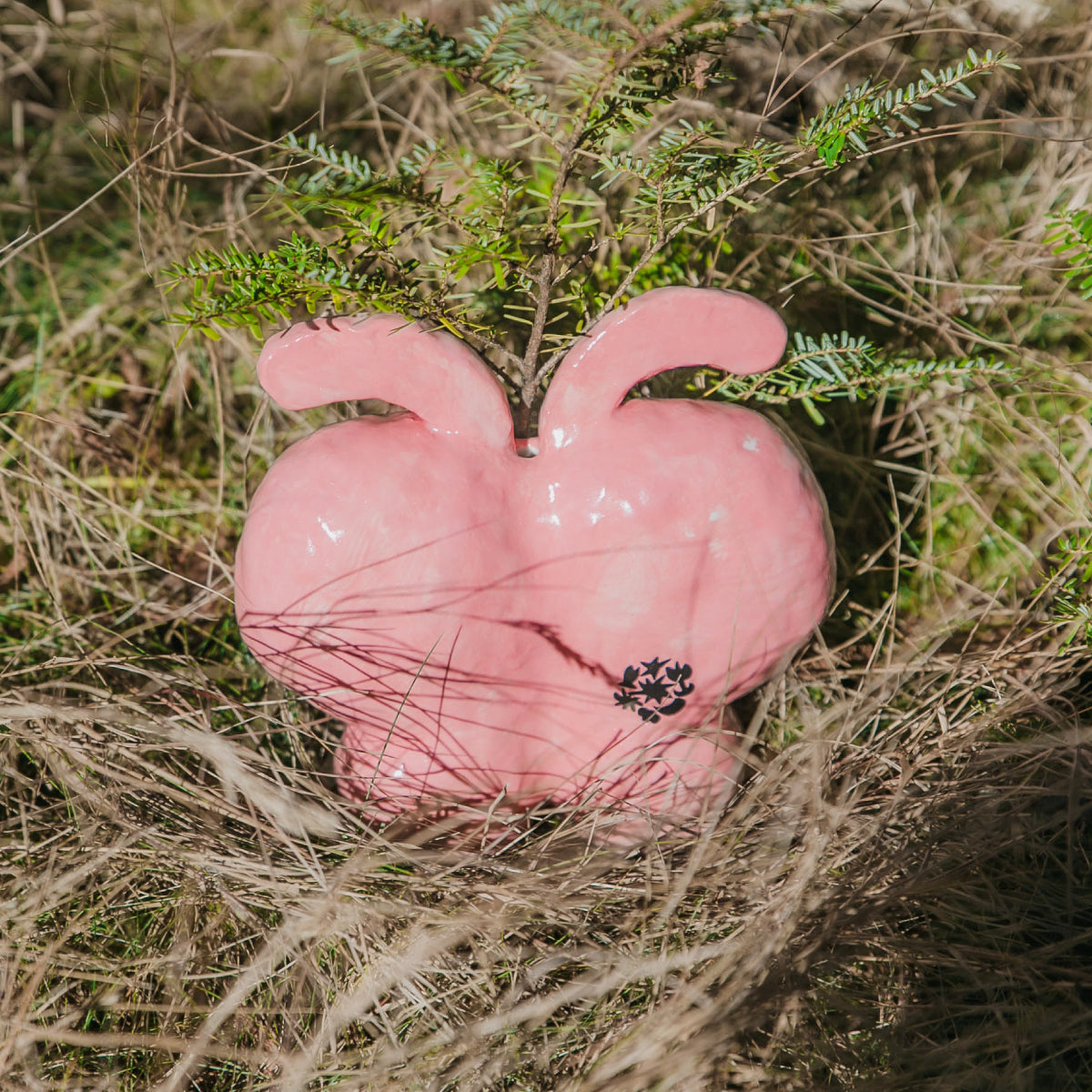 BIOTOPE × SHOKKI Ceramic Pink