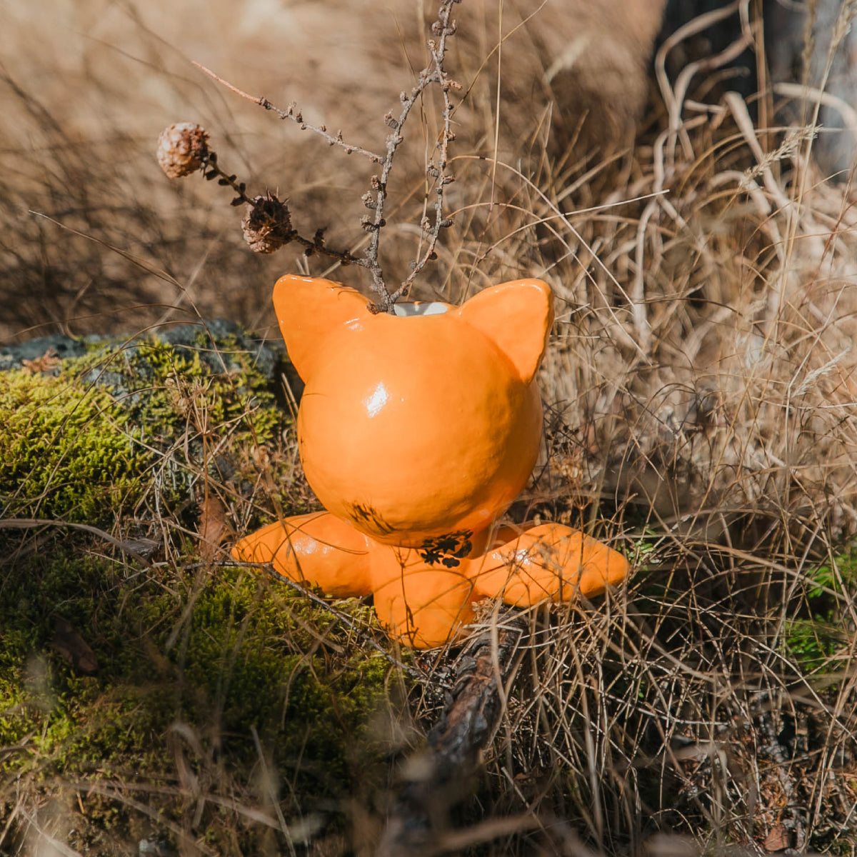 BIOTOPE × SHOKKI  Ceramic Orange
